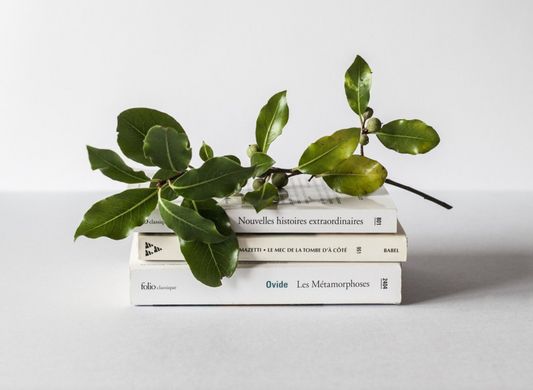 The Art Of Character Naming